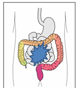 Self-Abdominal Massage 6.png