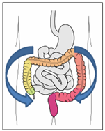 Self-Abdominal Massage 2.png
