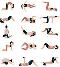 Pelvic Floor Exercises.jpg