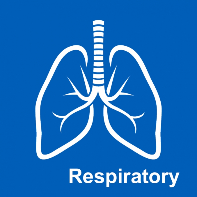 respiratory.jpg
